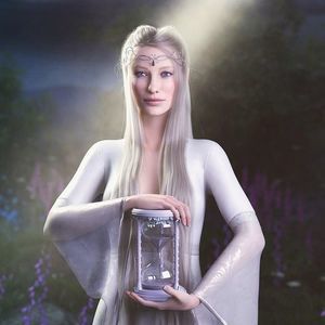 Meet your Posher, Ann